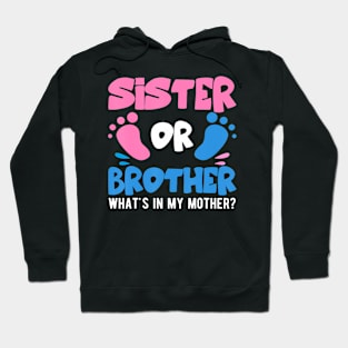 Sister Or Brother What'S In My Mother Gender Baby Reveal Hoodie